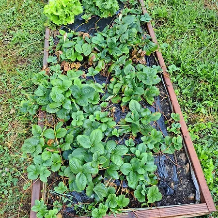 A La Source * Saint-Medard-de-Guizieres